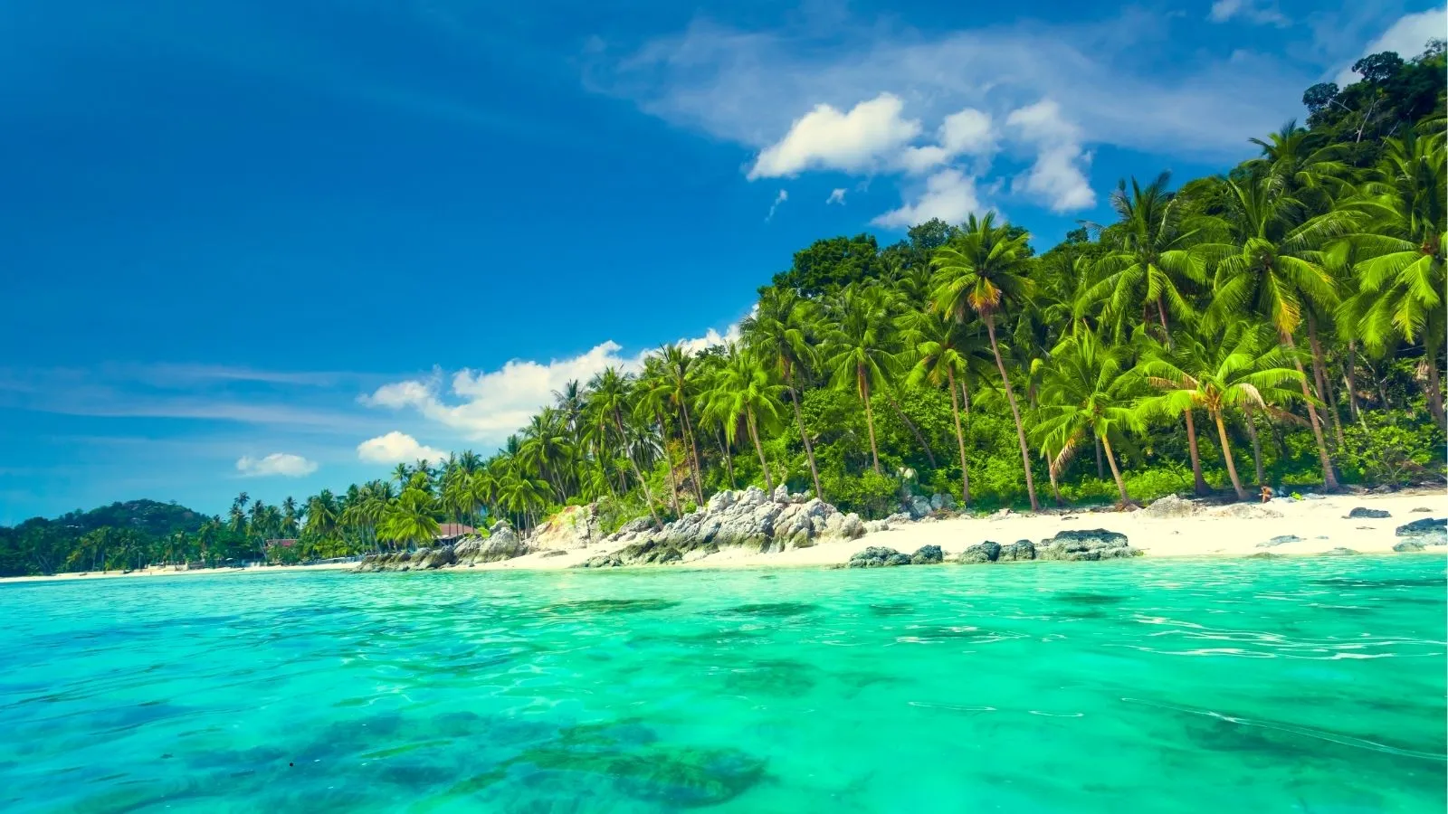 The Best Beaches in Koh Samui: A Guide to Every Stretch of Sand